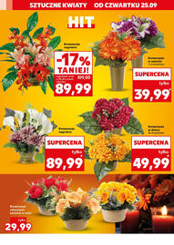 Kaufland gazetka tydzień 39 Strona 14