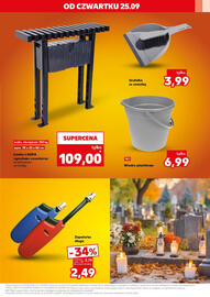 Kaufland gazetka tydzień 39 Strona 17