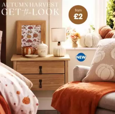 B&M Stores leaflet (valid until 22-10)