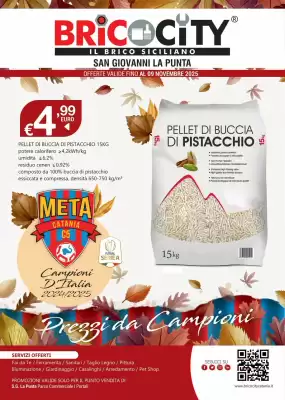 Volantino BricoCity (valido fino al 9-11)