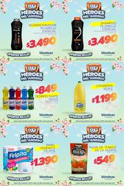 Catálogo Blow Max Página 5