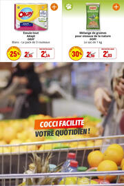 Catalogue Coccinelle Supermarché page 39