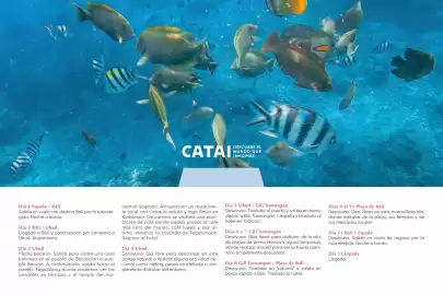 Catálogo Catai Página 107