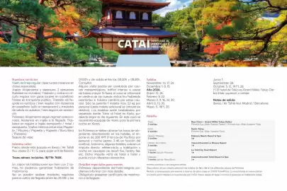 Catálogo Catai Página 132