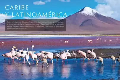 Catálogo Catai Página 165