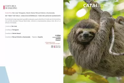 Catálogo Catai Página 182