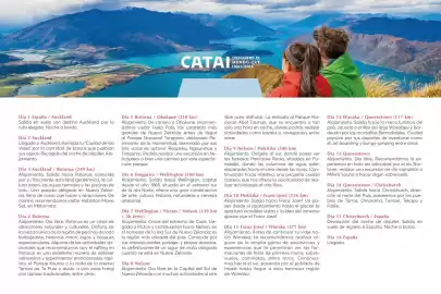 Catálogo Catai Página 217