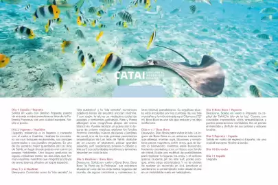 Catálogo Catai Página 220