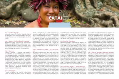 Catálogo Catai Página 234