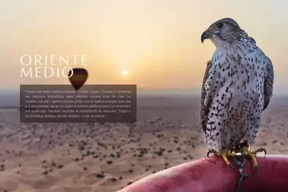 Catálogo Catai Página 25