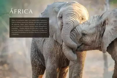 Catálogo Catai Página 47