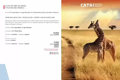 Catálogo Catai Página 52