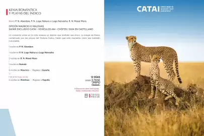 Catálogo Catai Página 55