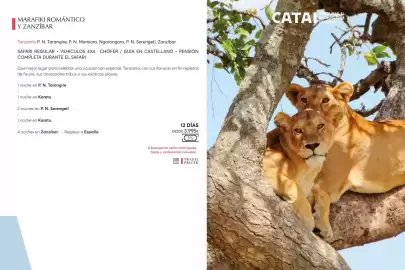 Catálogo Catai Página 58