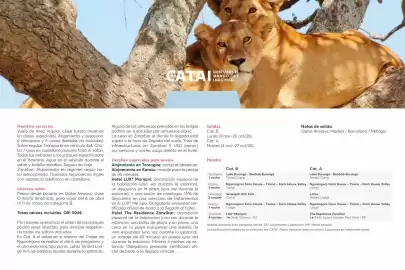 Catálogo Catai Página 60