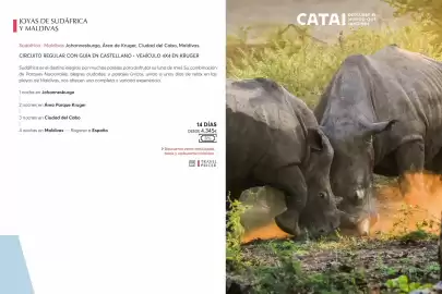 Catálogo Catai Página 64