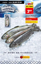 Biedronka gazetka Strona 32