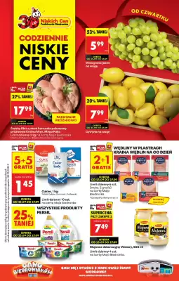 Biedronka gazetka