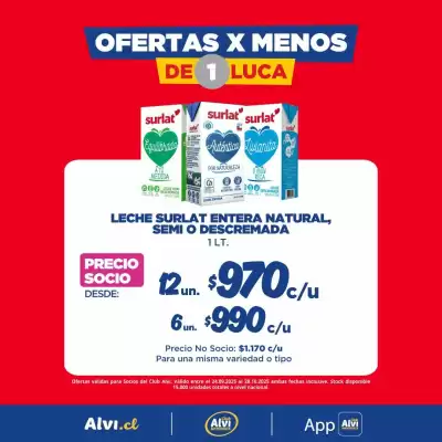 Catálogo Alvi (válido hasta 28-10)