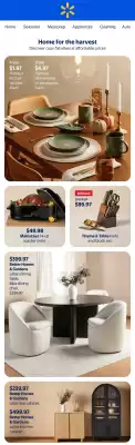 Walmart flyer (valid until 22-10)