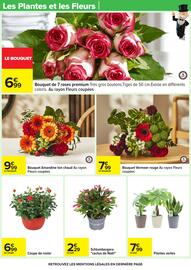 Catalogue Carrefour page 29