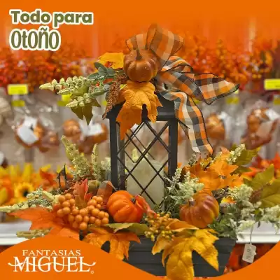 Catálogo Fantasías Miguel (válido hasta 3-11)