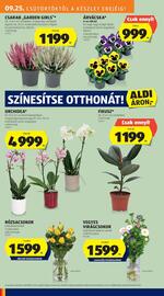 ALDI akciós újság hét 39 Oldal 26