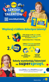 Lidl gazetka Strona 15