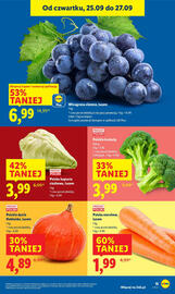 Lidl gazetka Strona 17