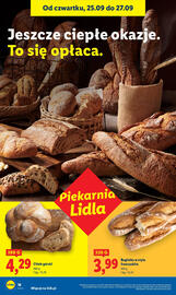 Lidl gazetka Strona 20