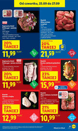 Lidl gazetka Strona 23