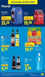 Lidl gazetka Strona 29