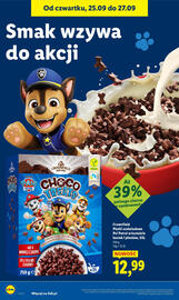 Lidl gazetka Strona 42