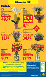 Lidl gazetka Strona 51