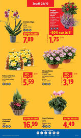 Catalogue Lidl semaine 40 page 29
