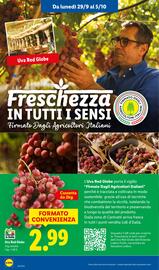 Volantino Lidl settimana 40 Pagina 2