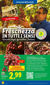 Volantino Lidl settimana 40 Pagina 2