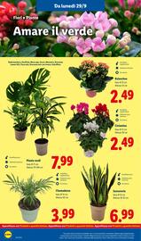 Volantino Lidl settimana 40 Pagina 30