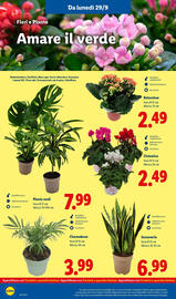 Volantino Lidl settimana 40 Pagina 30
