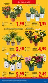 Volantino Lidl settimana 40 Pagina 31