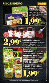 Folleto Gadis semana 39 Página 15