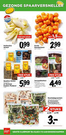 Vomar Voordeelmarkt folder Pagina 17