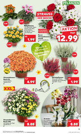 Kaufland Prospekt woche 39 Seite 5