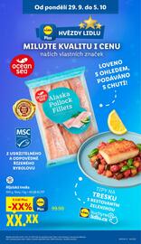 Lidl leták Strana 43