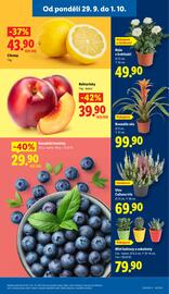 Lidl leták Strana 9