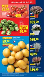 Lidl leták Strana 13