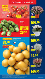 Lidl leták Strana 13