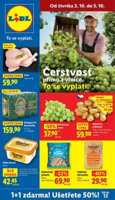 Lidl leták (platné do 5-10)