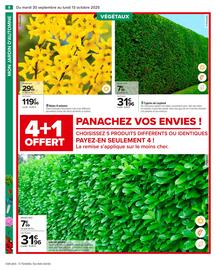 Catalogue Carrefour page 10