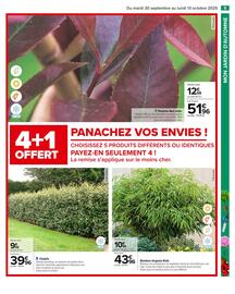 Catalogue Carrefour page 11